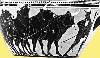 hermes cattle|why was hermes born.